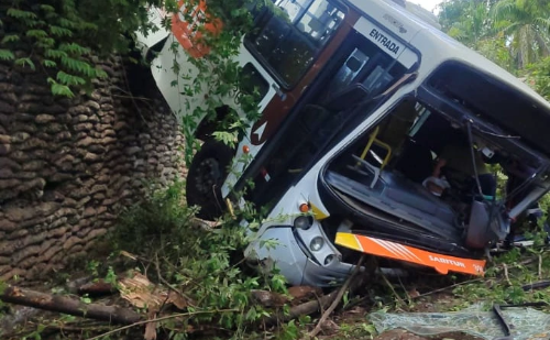 Vídeo: Ônibus desgovernado despenca sobre muro em Ipatinga