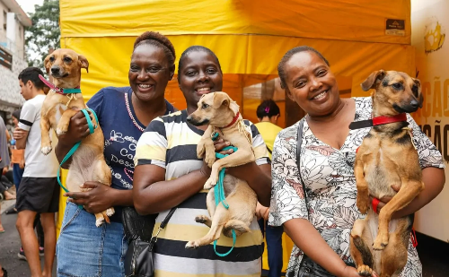 Inscrições para castração gratuita de pets começam nesta quarta em Ferraz