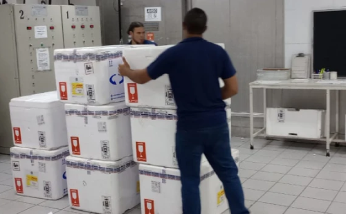 Minas Gerais inicia distribuição de vacinas contra Influenza para campanha 2025