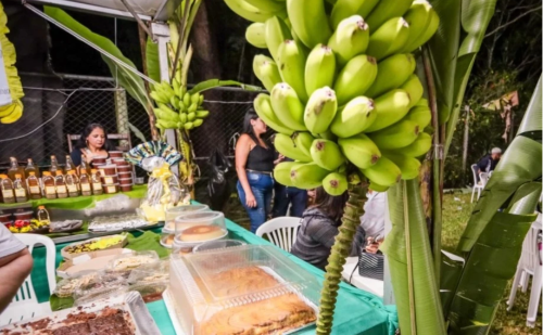 Festival da Banana abre comemorações de aniversário em Ipatinga com shows e tradições