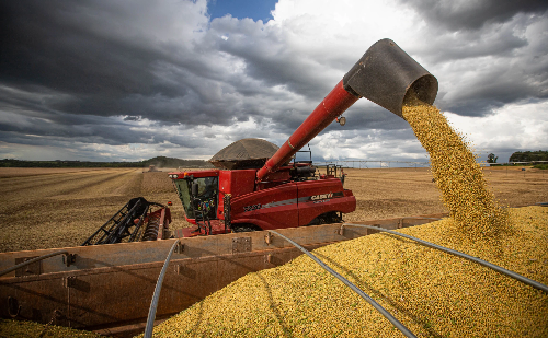 Brasil lucra no agro, mas perde na indústria com guerra comercial, aponta pesquisa