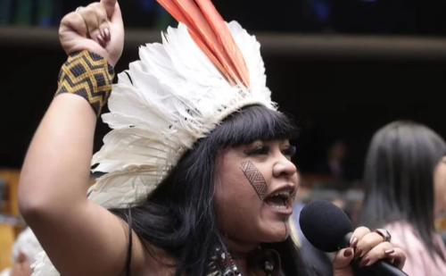 Deputada indígena Célia Xakriabá passa mal após gás de pimenta em protesto