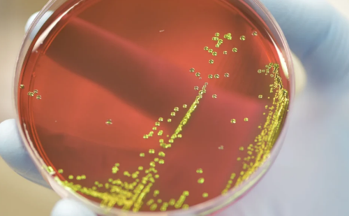 Resistência a antibióticos causou a morte de mais de 3 milhões de crianças no mundo