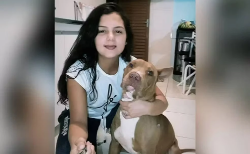 Morta pelo próprio pitbull, mulher é atacada dentro de casa e vizinhos matam o animal