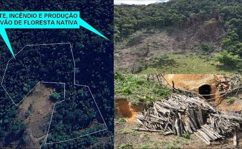 Desmatamento ilegal ao lado do Parque do Rio Doce gera multa de R$ 84 mil