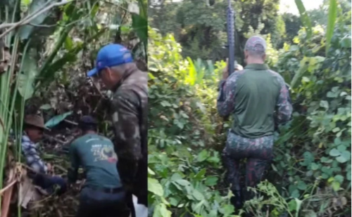 Onça mata caseiro e restos são achados em toca no MS