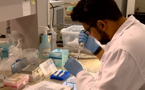 Pesquisas da Unicamp sobre zika moldaram combate à Covid-19