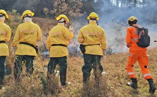 Bombeiros de MG abrem seleção com 280 vagas para brigadistas florestais