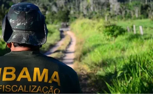 Sai o resultado do concurso do Ibama com salário de quase R$ 10 mil