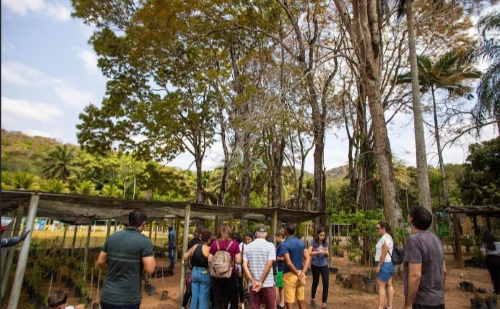 Instituto Usiminas promove passeio turístico e visita ao Viveiro de Mudas