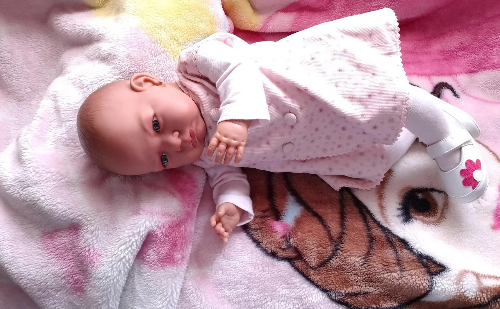 Disputa judicial envolve bebê reborn e perfil lucrativo no Instagram após separação de casal