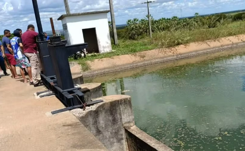 Pescador morre após fugir de ataque de abelhas e se afogar em canal no Ceará