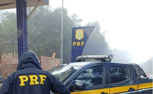 PRF intercepta carro com 109 trinca-ferros silvestres em MG