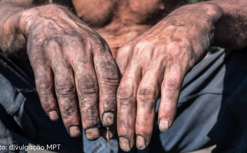 Trabalhadores são resgatados em carvoaria de Minas sob condições degradantes