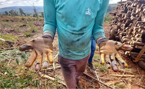 Trabalhadores são resgatados em condições degradantes em fazenda de MG