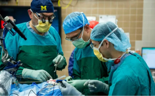 Empresa faz primeiro teste de chip cerebral em humano e retira em 10 minutos