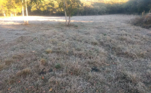 Inmet alerta para geada em 37 cidades de MG com mínima de 3 °C
