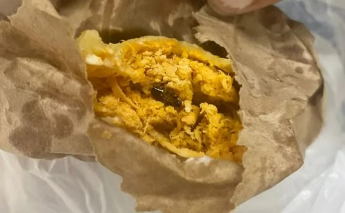 Pastel com barata viva leva à prisão e interdição de lanchonete no Rio
