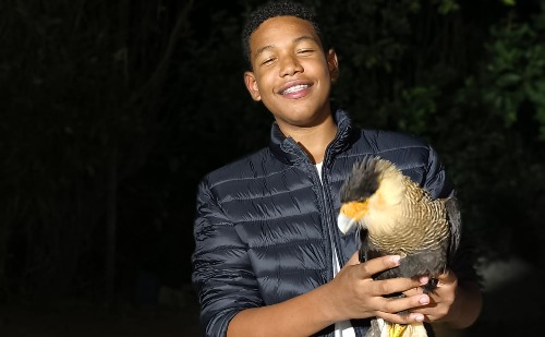 Adolescente resgata carcará ferido em Nova Era, às margens da MGC-120; veja vídeo