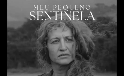 Reconhecimento internacional: filme do Sul de Minas vence cinco prêmios no Canadá