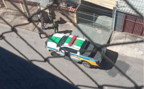 Polícia apura denúncia sobre cão debilitado em Monlevade e constata apenas velhice