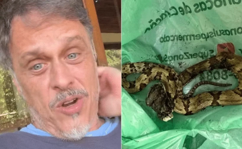 Guilherme Fontes é internado após picada de jararaca