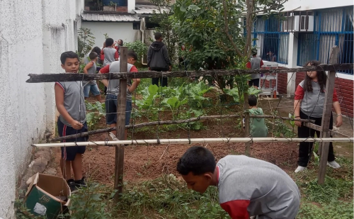 Timóteo: projeto leva hortas e jardins para escolas da rede municipal