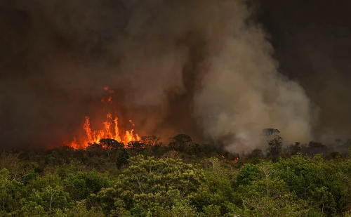 Incêndios em 2024 destroem 30 milhões de hectares e batem recorde histórico