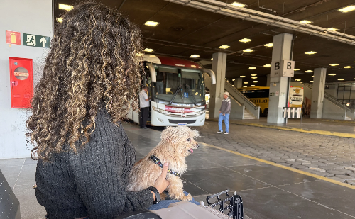 Minas libera viagens com pets em ônibus intermunicipais a partir de sexta-feira
