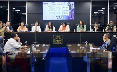 Audiência Pública em Timóteo Reforça Urgência por Delegacia da Mulher