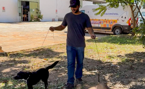 Projeto busca voluntários para passear com cães abrigados no Centro de Zoonoses de Ipatinga