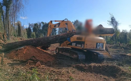 Jequitibá de 20 metros cai em cima de trator e mata homem no interior de MG