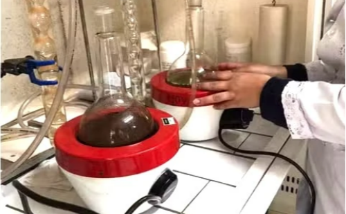 Extrato de café elimina 99% das larvas da dengue, aponta universidade mineira