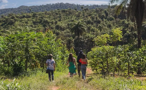 Fazendas de Brumadinho recebem circuito de turismo rural com vivências nas férias