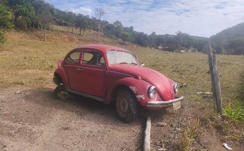 Vídeo: Idoso perde controle de carro e bate em cerca na MGC-120 em Nova Era