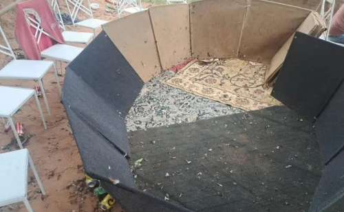 Evento clandestino de rinha de galos é descoberto e resgata 40 aves em Minas