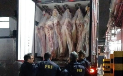 Carga de carne esconde 400 kg de maconha e caminhoneiro é preso na BR-262