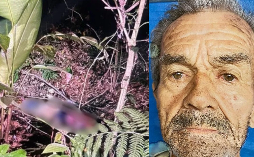 Corpo de idoso encontrado em decomposição em Timóteo é identificado