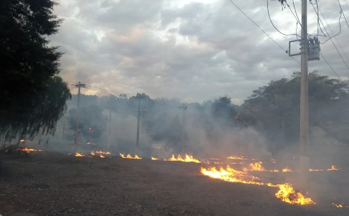 Tecnologia por satélite evita quase 1,9 mil incêndios próximos à rede elétrica em 2025