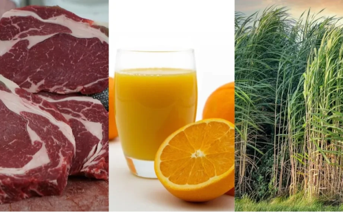 Governo busca novos mercados para o agro após alta de tarifa dos EUA