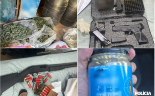 Polícia descobre plantação de maconha 'gourmet' com estrutura de fazenda no interior de MG