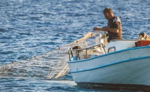 Após revisão, governo cancela licenças de quase 8 mil pescadores mortos