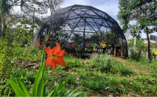 BH abre 200 vagas para curso gratuito de agroecologia online