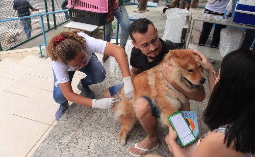 Timóteo inicia vacinação antirrábica para cães e gatos