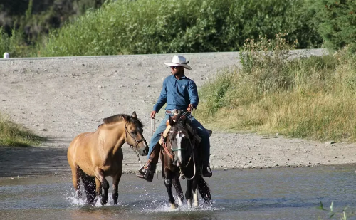Primeiro brasileiro a cruzar as Américas a cavalo revive chegada à arena de Barretos