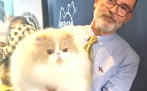 Mineiro Max é bicampeão em concurso internacional de gatos no RJ
