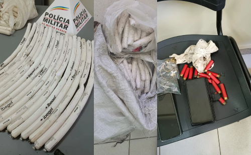 Garimpo clandestino é desmontado em Itabira após ação da PM Ambiental