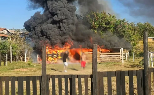 Incêndio em fazenda mata cavalo e ONG suspeita de crime em Minas Gerais