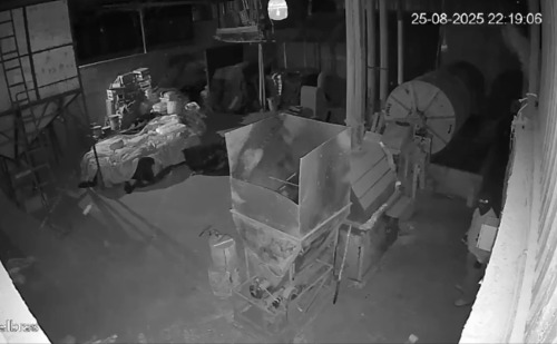 Criminosos invadem fazenda e furtam duas toneladas de café na zona rural de Caratinga