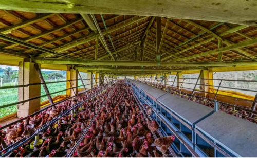 Aberto curso gratuito de agropecuária com 29 vagas em SP
